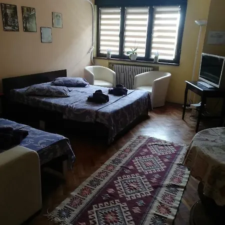 Apartment Studio Centru 4 *