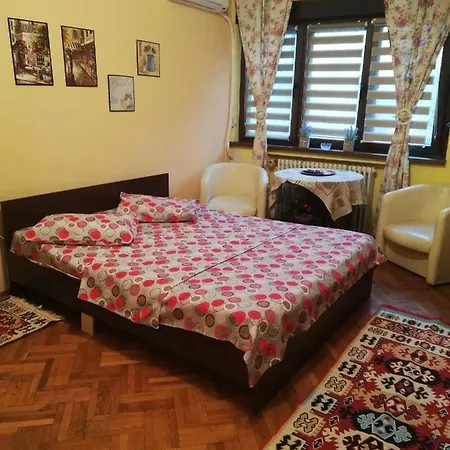 Studio Centru 4 아파트
