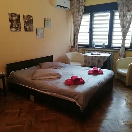 Apartament Studio Centru 4 *